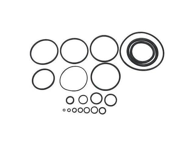 SPEEDAIRE PN31CCP09G O-ring Kit