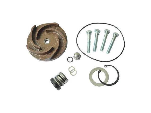 DAYTON 21TG78 Pump Repair Kit,For 2ZWX6A
