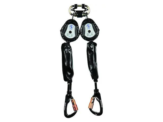 SAFE KEEPER ELE06(D)-SK 6ft Max, 310 lbs Weight Capacity, Black