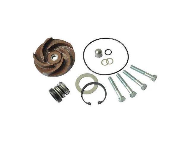 DAYTON 21TG75 Pump Repair Kit,For 2ZWX3A