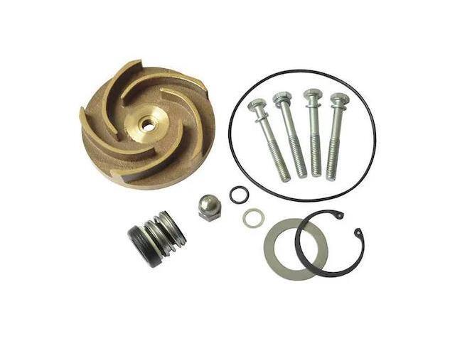 DAYTON 21TG85 Pump Repair Kit,For 2ZWY4A
