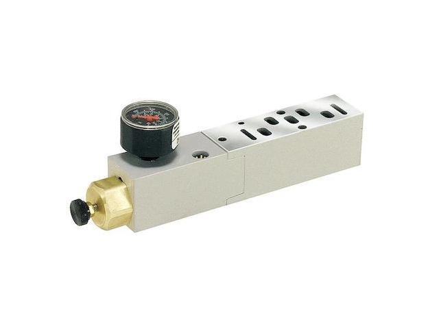 PARKER PS5538166P Manifold Air Regulator,145 psi,120F