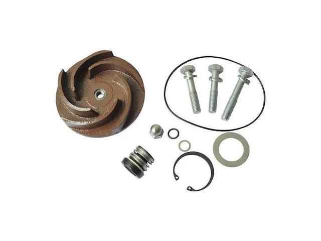 DAYTON 21TG81 Pump Repair Kit,For 2ZWX9A