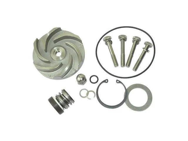 DAYTON 21TG90 Pump Repair Kit,For 2ZWY9A