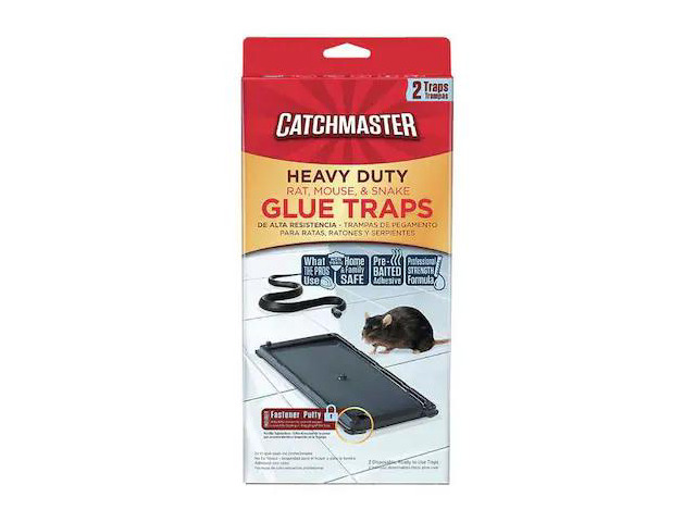 CATCHMASTER 404SD Heavy Duty Rat, Mouse & Snake Glue Trap, 5-1/4 in W x 1/4 in