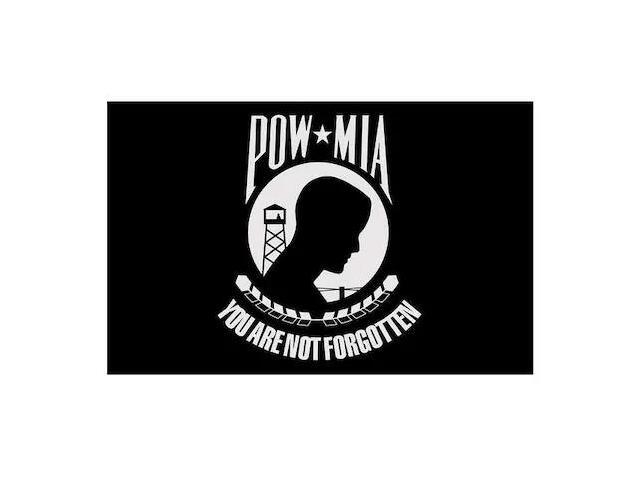 ANNIN FLAGMAKERS 377994 Pow Mia Flag,4x6 Ft,Nylon, You are not forgotten, Black