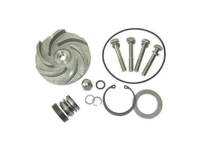 DAYTON 21TG89 Pump Repair Kit,For 2ZWY8A
