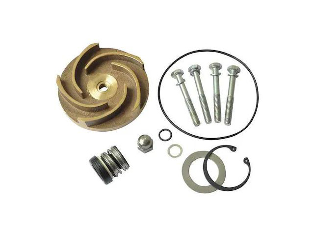 DAYTON 21TG84 Pump Repair Kit,For 2ZWY3A