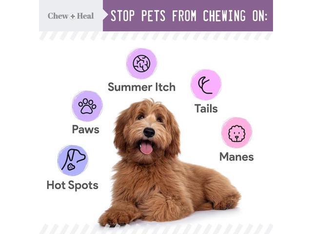 CHEW + HEAL CH-38538 No Chew Spray - 8oz