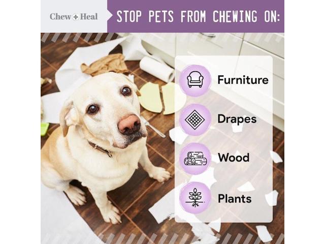 CHEW + HEAL CH-38538 No Chew Spray - 8oz