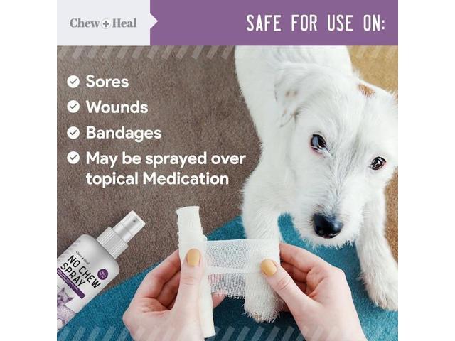CHEW + HEAL CH-38538 No Chew Spray - 8oz