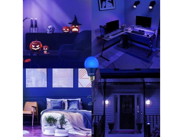 LUXRITE LR21491-3PK A19 LED Light Bulbs 8W (60W Equivalent) Blue Colored Bulbs