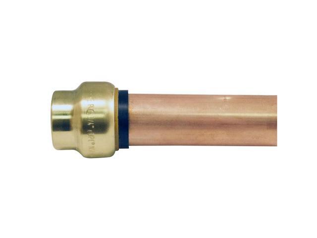 APOLLO FSBCAP346JR 3/4 in. Brass Push-To-Connect Cap Jar (6-Pack), 6PK