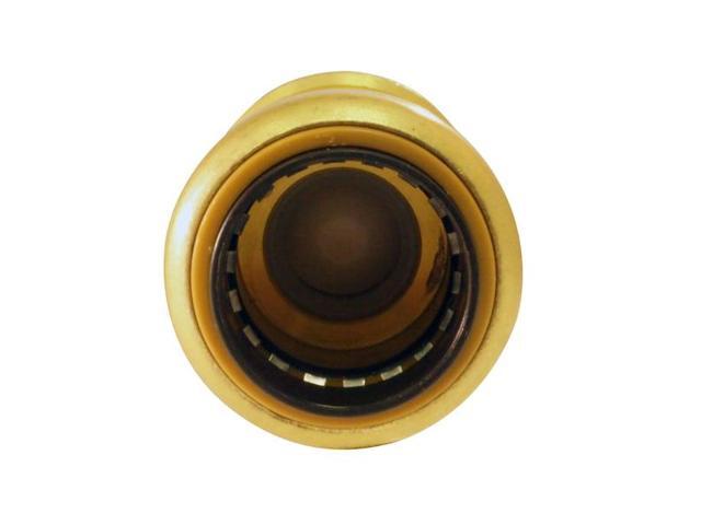 APOLLO FSBCV34 3/4 in. Brass Push-to-Connect Check Valve