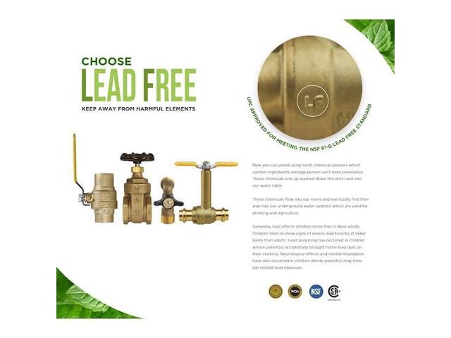 EVERFLOW 150T200-NL FIP Inline Spring Loaded Check Valve, Cast Brass 2'