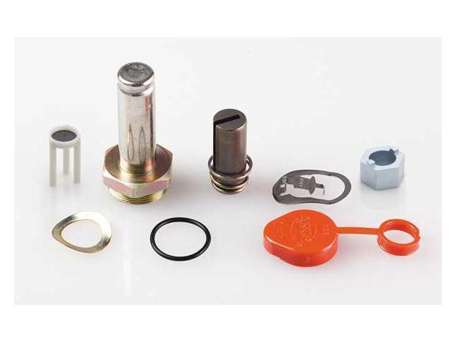 ASCO 302116 Valve Rebuild Kit