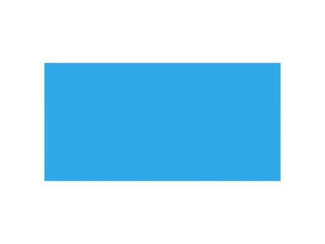 vidaXL Pool Cover Blue 192.1'x96.1' PE