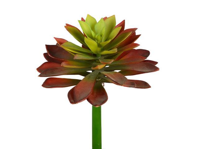 Photos - Other Jewellery Vickerman 10' Red/Green Succulent Stem 2/Pk - FH180301 FH180301 