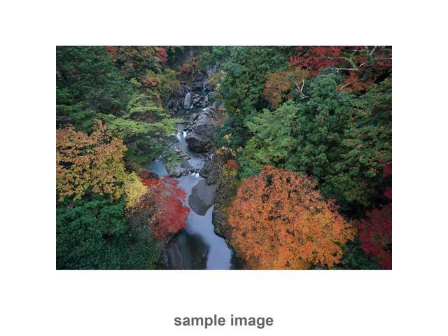 Sony - G Master FE 16-35mm f/2.8 GM Wide Angle Zoom Lens for E-mount Cameras - Black - image 7