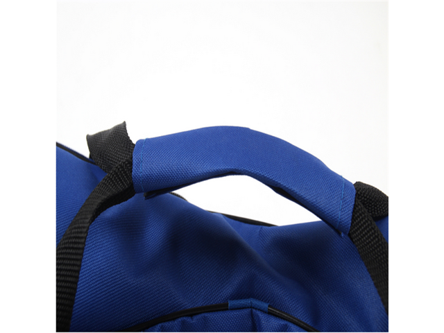 Blue Travel Bags Carrying Bags For Mini Smart 2 Wheel Self Balancing Electric Scooter,430g(10inch)