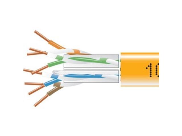 Black Box EYN867B-PB-1000 CAT6 550-MHz Solid Bulk Cable - Unshielded, Plenum, Orange, 1000 ft. Pull Box