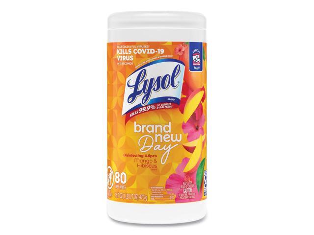 LYSOL Brand Disinfecting Wipes Brand New Day 7' x 8' White 80/Canister 97181EA