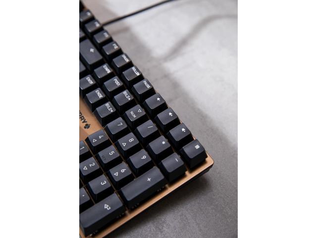 Cherry KC 200 MX Mechanical Office Keyboard with MX2A Brown Switches, Bronze