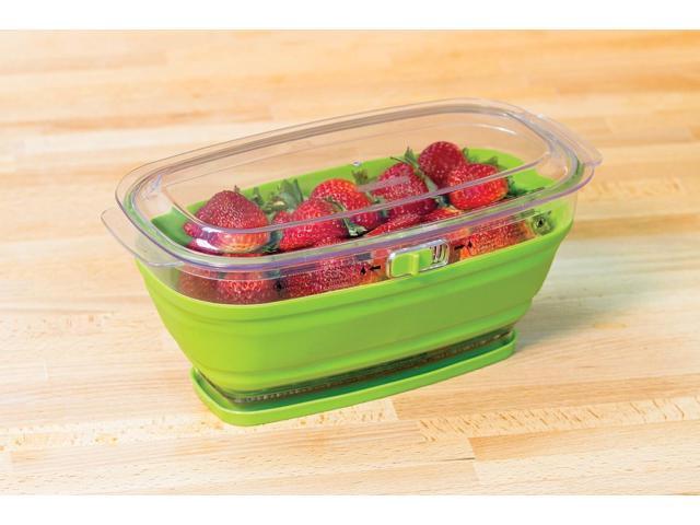Progressive 2 Quart Collapsible Mini Produce Keeper - LKS-09