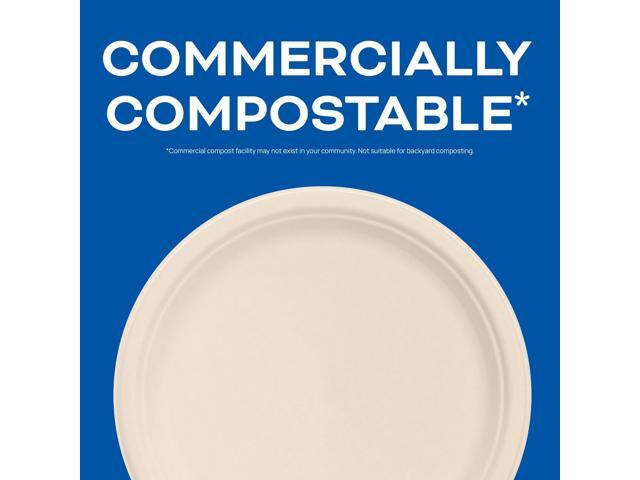 Compostable Molded Fiber Dinnerware ProPlanet Seal Plate 9' dia Natural 500/Carton 9FBRP1