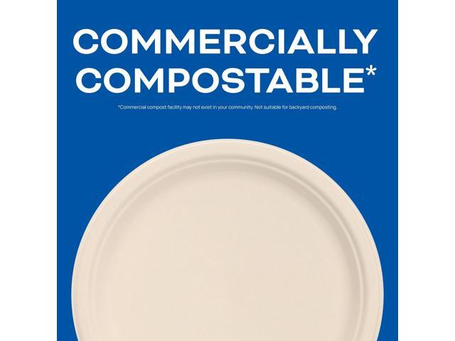 Compostable Molded Fiber Dinnerware ProPlanet Seal Plate 10.2' dia Natural 500/Carton 10FBRP1