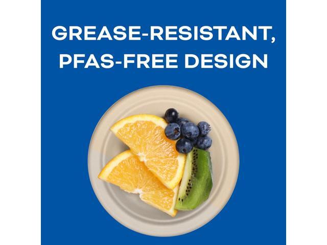 Compostable Molded Fiber Dinnerware ProPlanet Seal Plate 6' dia Natural 1000/Carton 6FBRP1