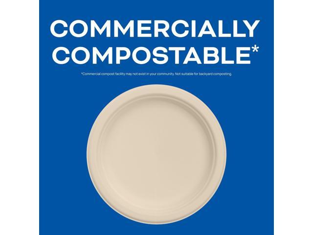 Compostable Molded Fiber Dinnerware ProPlanet Seal Plate 6' dia Natural 1000/Carton 6FBRP1