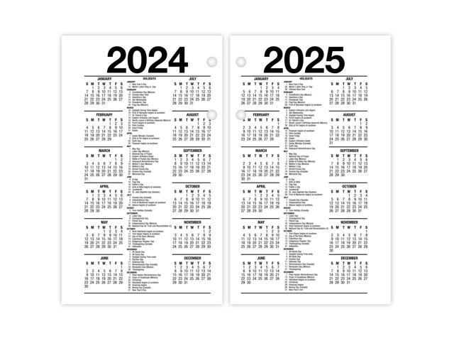 AT-A-GLANCE 2026 Financial Daily Desk Calendar Refill, Standard, 3 1/2' x 6'