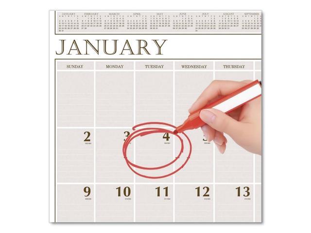House of Doolittle Recycled Large Print Monthly Wall Calendar 20 X 26 2026