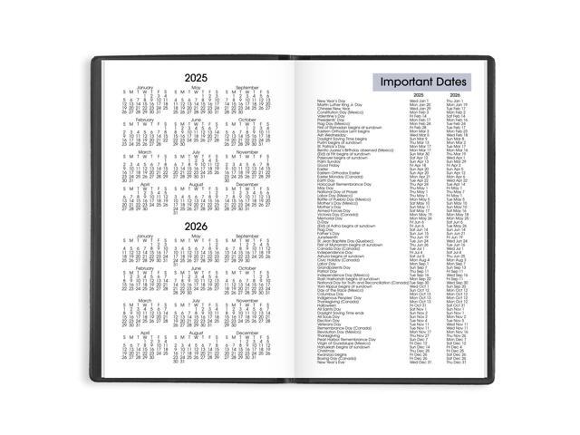 AT-A-GLANCE DayMinder 2026 Weekly Planner, Black, Pocket, 3 1/2' x 6'