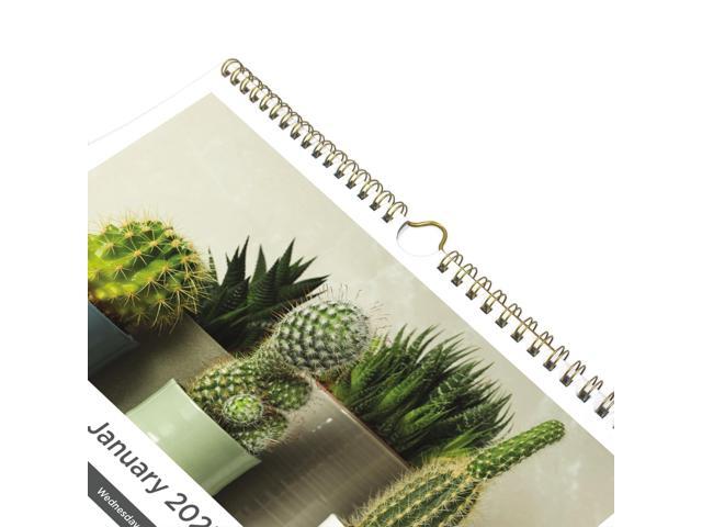 2026 Blueline Colorful Monthly Wall Calendar, 12' x 17', Minimalist, January To December, C173121