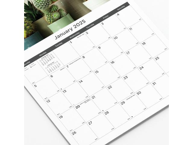 2026 Blueline Colorful Monthly Wall Calendar, 12' x 17', Minimalist, January To December, C173121