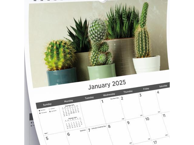 2026 Blueline Colorful Monthly Wall Calendar, 12' x 17', Minimalist, January To December, C173121