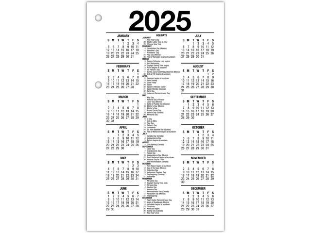 AT-A-GLANCE 2026 Recycled Daily Loose-Leaf Desk Calendar Refill, Standard, 3 1/2' x 6'