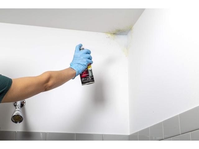 Mold Blocking Primer Spray Interior/Exterior Flat White 13 oz Aerosol Can 6/Carton 287512
