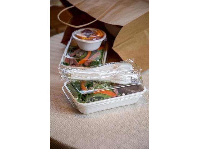 Eco-Products Vanguard Worldview Renewable and Compostable Sugarcane Take-Out Containers - 24 oz, 8 x 6 x 1 - White - 400/Carton EP-SCRC24NFA