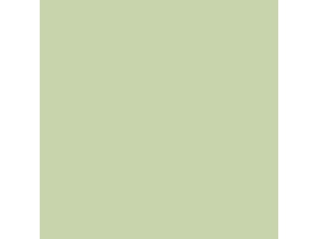 Camouflage Spray Paint Flat Sand 12 oz Aerosol Can 6/Carton 339004