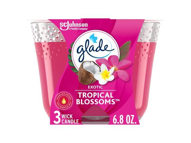 Exotic Tropical Blossoms Candle, 6.8 oz, Glass, 3/Carton