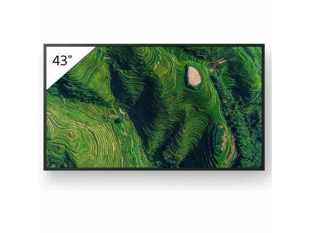 Sony Pro BRAVIA FW-43BZ35P Digital Signage Display