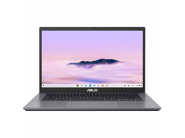 Asus Chromebook Plus 14' Full HD Intel Core5 120U 16GB SSD Gray CX3402CVADB566GR