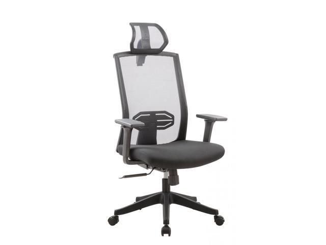 Executive Ergonomic Mesh Office Chair (Fully Adjustable)