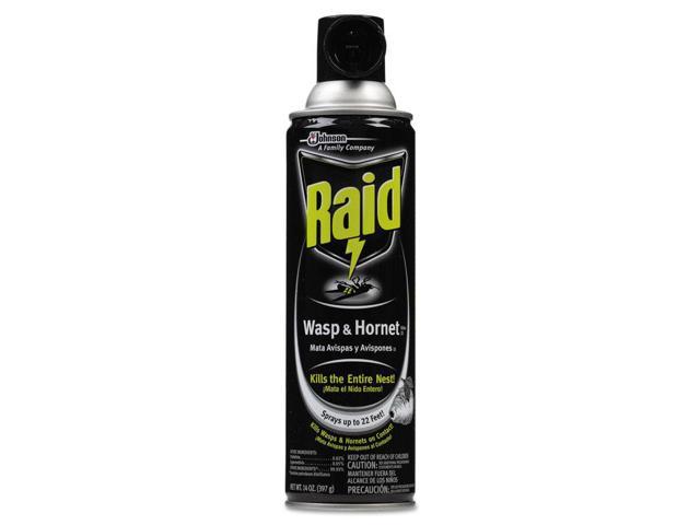 Raid Wasp & Hornet Insect Killer 33, 14 oz