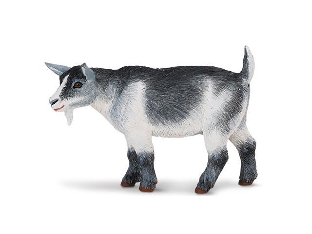 Pygmy Nanny Goat Safari Farm Safari Ltd