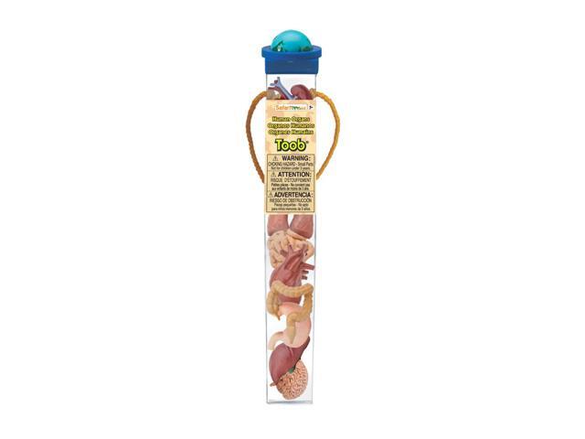 Human Organs Toob Mini Figures Safari Ltd