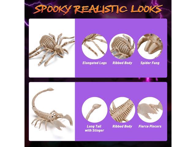 Yescom 2 Pcs Spider and 2 Pcs Scorpion Skeletons Halloween Decor Waterproof Plastic Yard Props 2025